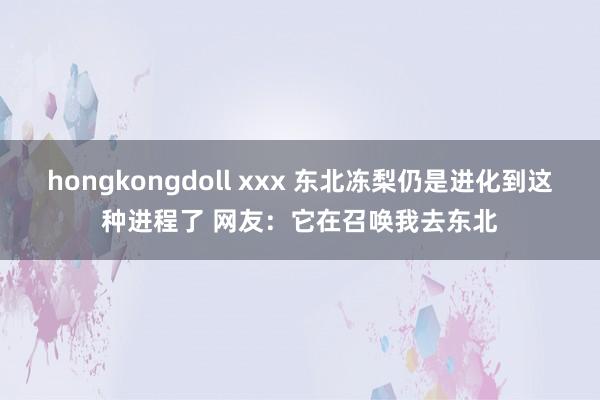 hongkongdoll xxx 东北冻梨仍是进化到这种进程了 网友：它在召唤我去东北