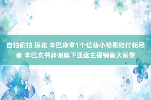 自拍偷拍 探花 辛巴称拿1个亿替小杨哥赔付耗尽者 辛巴文书辞谢旗下通盘主播销售大闸蟹