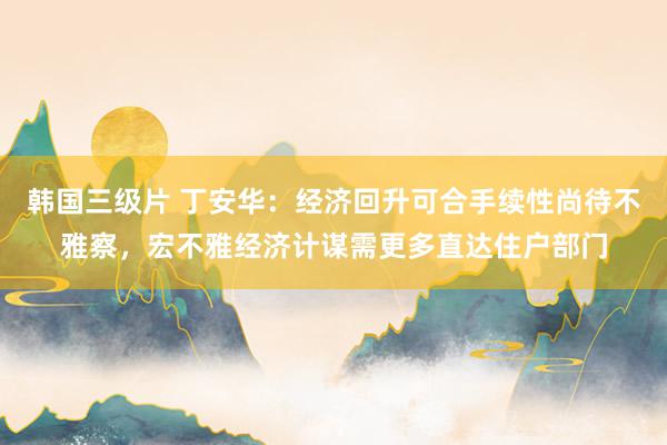 韩国三级片 丁安华：经济回升可合手续性尚待不雅察，宏不雅经济计谋需更多直达住户部门