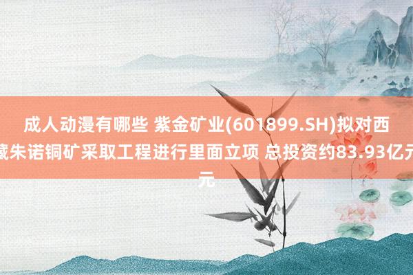 成人动漫有哪些 紫金矿业(601899.SH)拟对西藏朱诺铜矿采取工程进行里面立项 总投资约83.93亿元