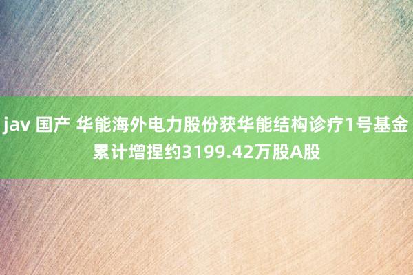 jav 国产 华能海外电力股份获华能结构诊疗1号基金累计增捏约3199.42万股A股