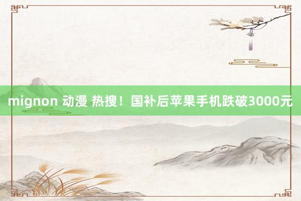 mignon 动漫 热搜！国补后苹果手机跌破3000元