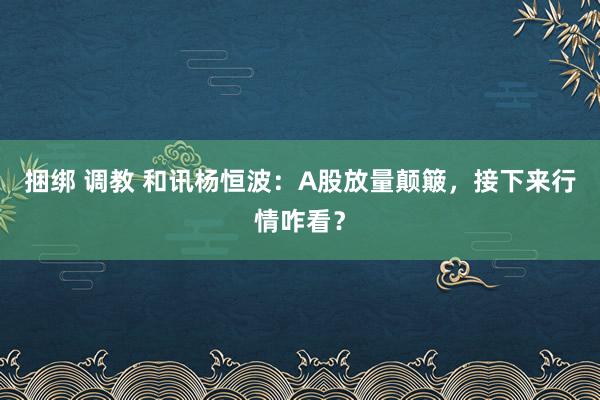 捆绑 调教 和讯杨恒波：A股放量颠簸，接下来行情咋看？